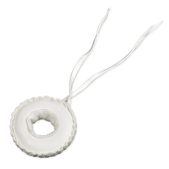 Kashima Shin Ryu - Shinai Tsuba