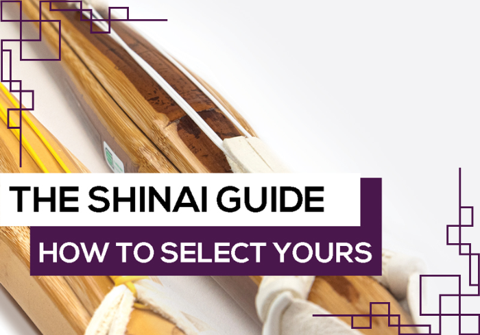 A Beginners Guide To Shinai